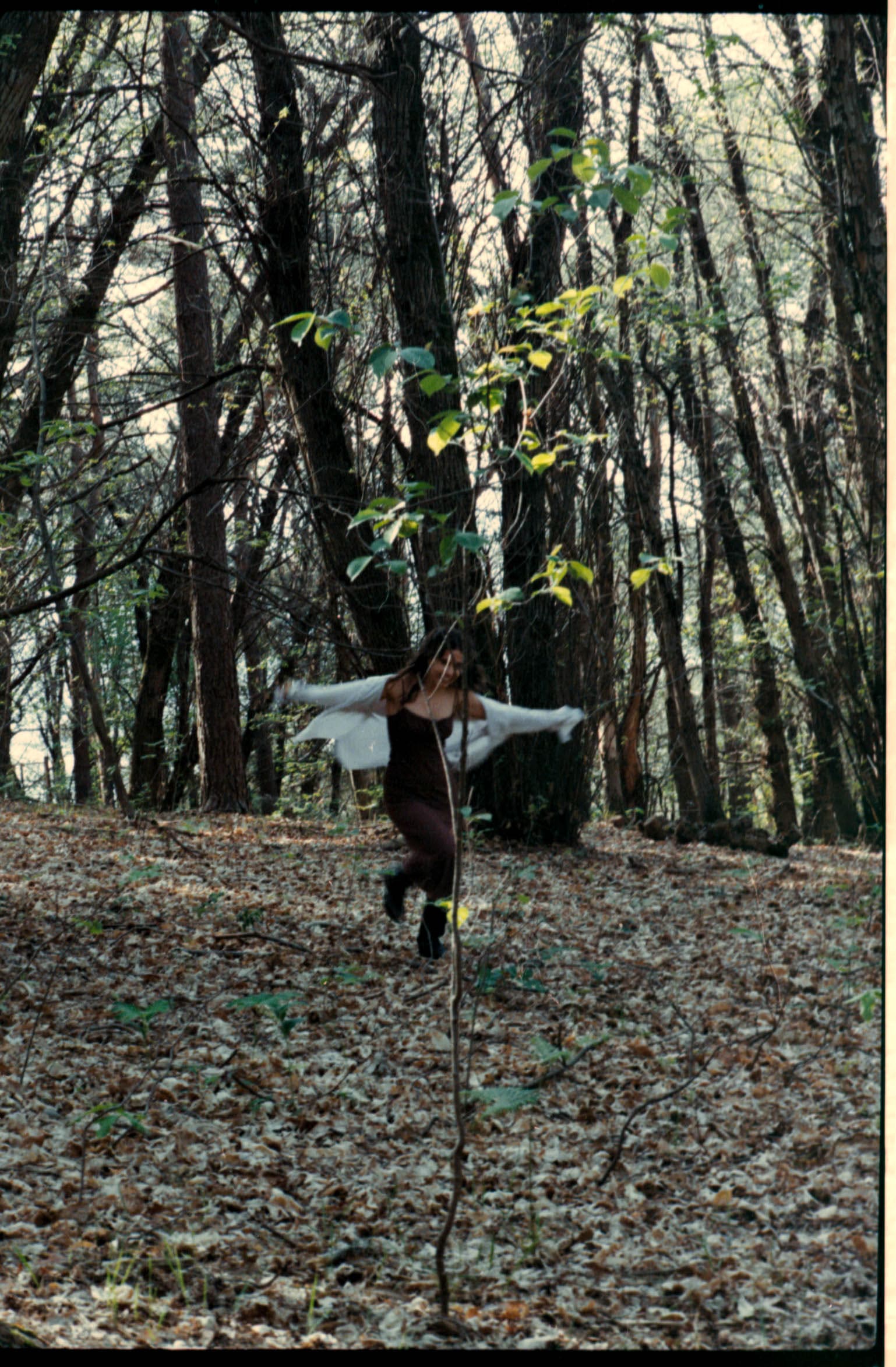 Foto Galleria 1
